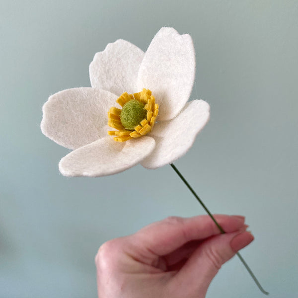 Anemone Japonica Flower