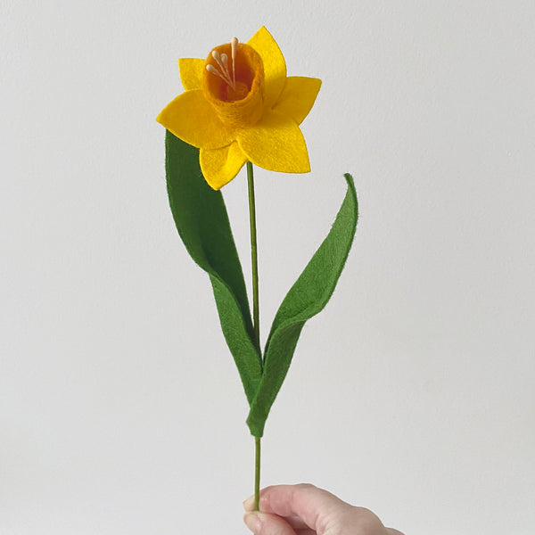 Small Daffodil Stem