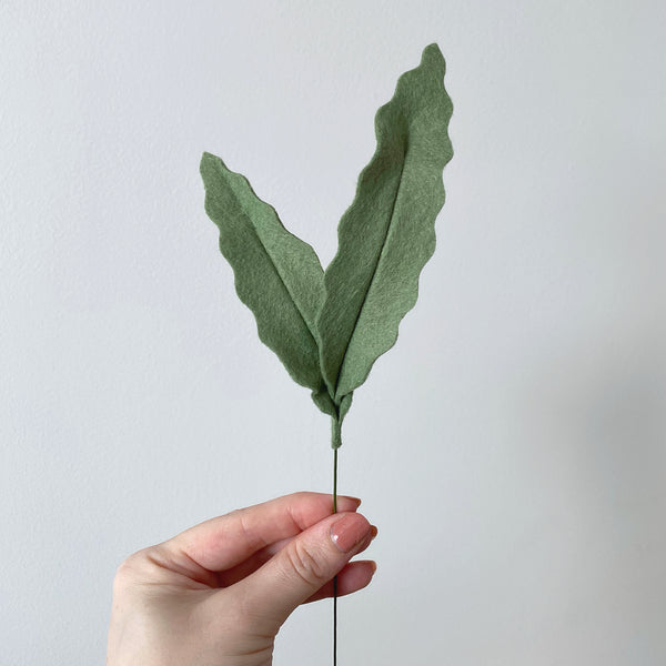 Blue Star Fern Leaf Stem