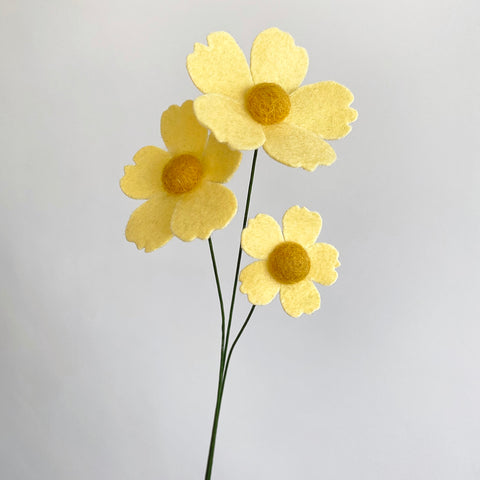 3x Yellow Wildflowers