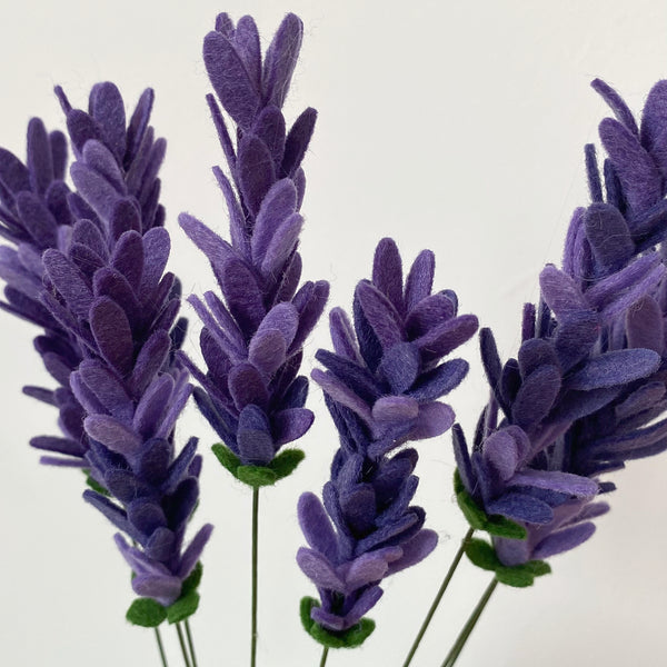 Lavender Stems
