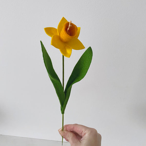 Small Daffodil Stem