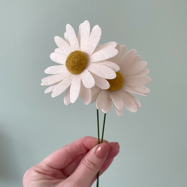 Single Daisy Stem