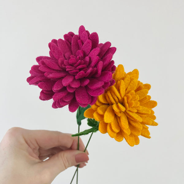 Chrysanthemum Flower Stem